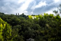 SAINT MARTIN DE L'ARCON - Chapelle