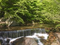 Parcours 10 rouge - Traversée du Caroux 