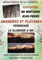 AMANDIERS ET PLATANES. © mediatheque la liviniere