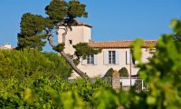 chateau de siran - le chateau vu des vignes © logis herault - chateau de siran