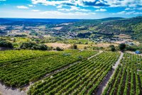 Coteaux de Berlou-Berlou_1 © 2017 - Hervé Leclair_Asphéries - Sud de France Développement