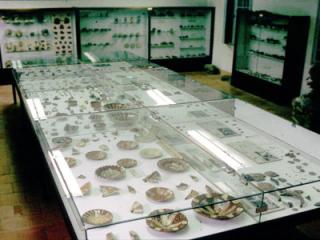 image de MUSEUM OF ARCHEOLOGY AND PALEONTOLOGY IN MINERVE